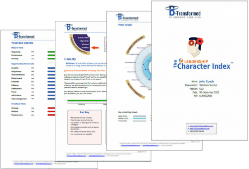 The Leadership Character Index™</p>
<p>